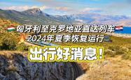 开云体育入口-匈牙利主场击败克罗地亚，一举上升至小组第二
