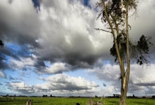 开云体育入口-日本羽毛球队大胜印度,辛杜闪耀全场:羽毛球新格局的开启