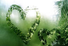 开云体育-阿根廷险胜马德里竞技，阿拉巴爆发神勇——足球夜的精彩瞬间与幕后故事