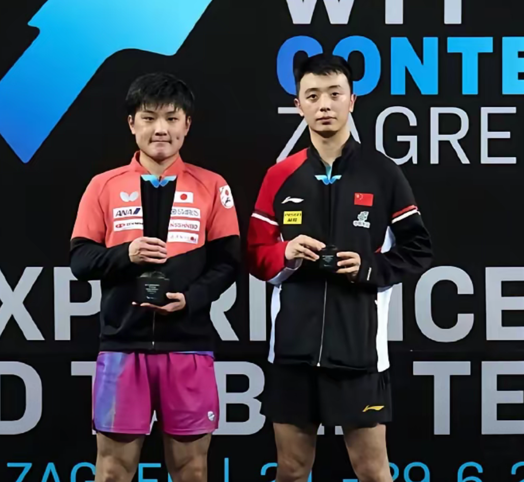 包含中国队碾压葡萄牙队,张本智和扛起全队的词条 包含中国队碾压葡萄牙队,张本智和扛起全队的词条